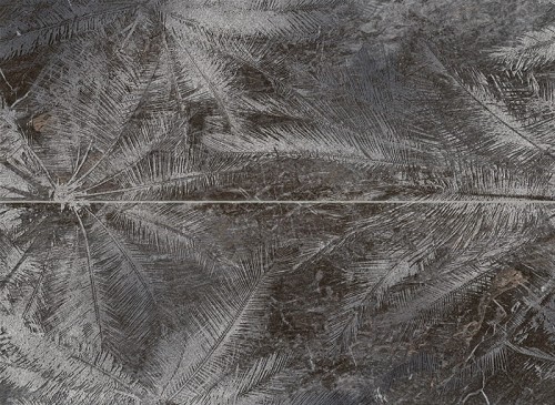 Tubądzin Sedona Palms Dekor ścienny 2-elem  65,8x89,8cm, Gat. 1 